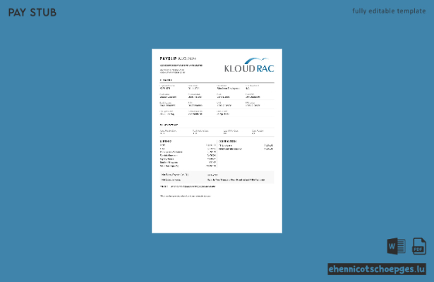 Kloudserve Software Gehaltsabrechnungsbeispiel-Vorschau